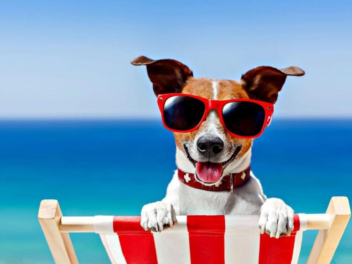 Relaxing Chalet On Popular California Sands Short Stroll To Beach, Nr Norfolk Broads & Great Yarmouth Scratby Ngoại thất bức ảnh